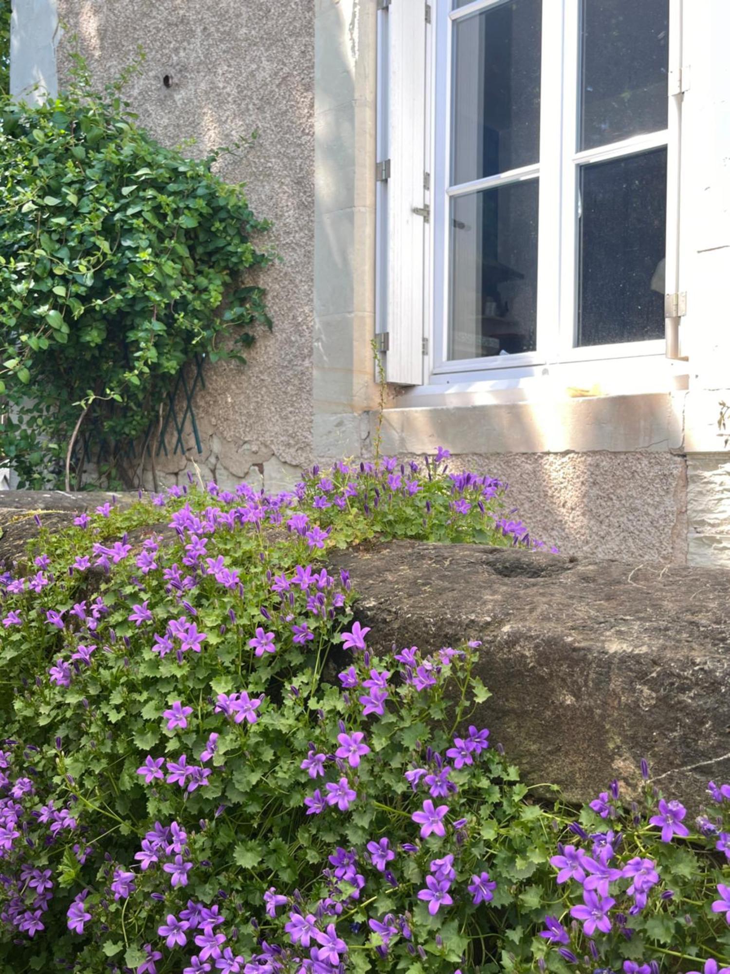 Le Clos Gabrielle Châtellerault Eksteriør billede